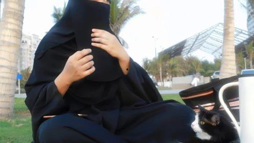 娱乐吃瓜君网红是谁